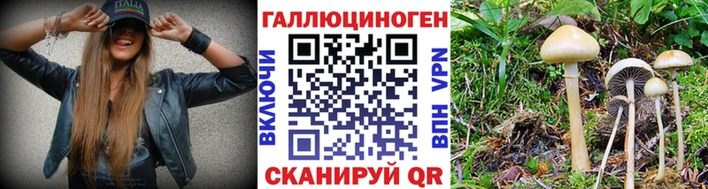 Псилоцибиновые грибы Magic Shrooms Юрюзань